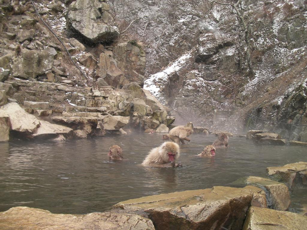Willa Alp Bach Madarao Iiyama Zewnętrze zdjęcie